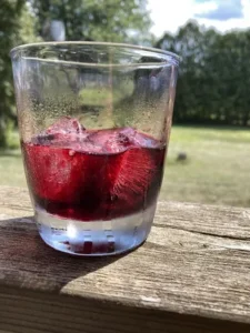 Sparkling Haskap with Lemon 12 Pack