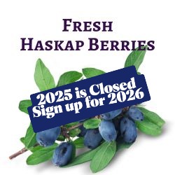Closed for 2025