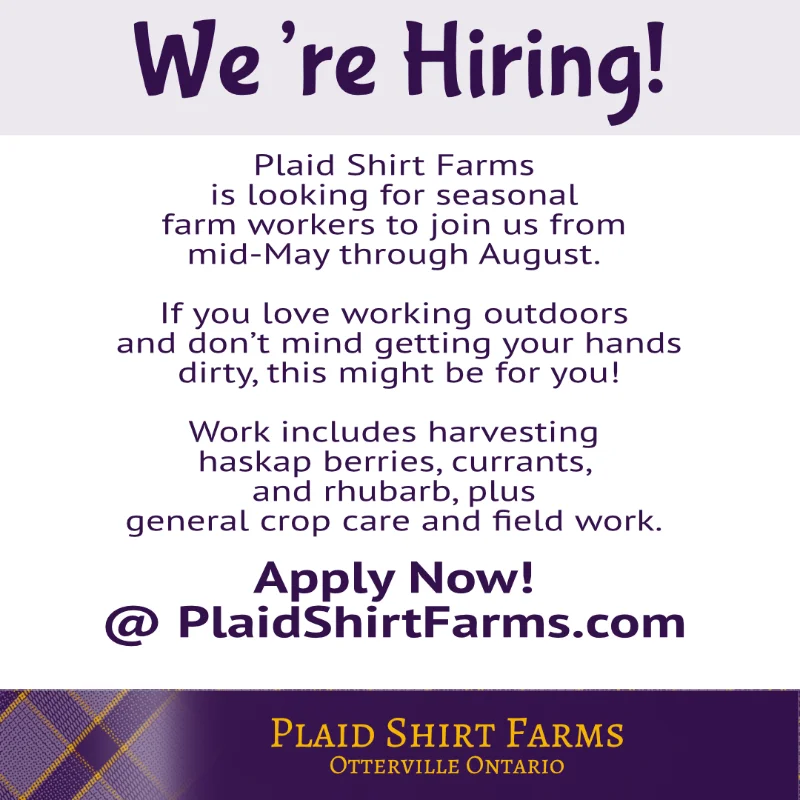 Plaid Shirt Farms hiring