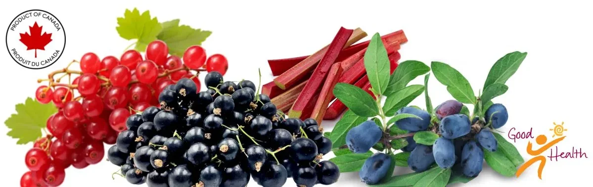 Plaid shirt farms shop