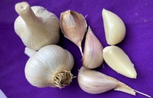 delafield garlic